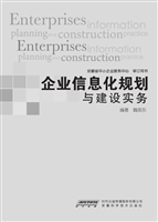 企业信息化规划与建设
