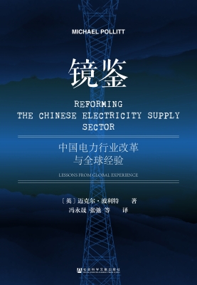 镜鉴：中国电力行业改革