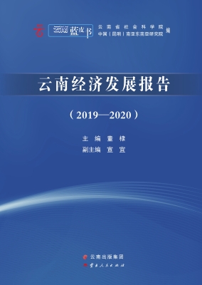 云南经济发展报告（2019