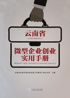 云南省微型企业创业实