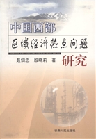 中国西部区域经济热点