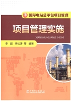 国际电站总承包项目管