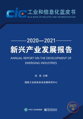 新兴产业发展报告（2020