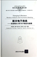 新兴电子商务——深度