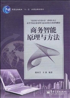商务智能原理与方法