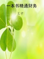 一本书精通财务