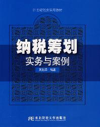 纳税筹划：实务与案例