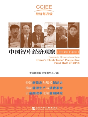 中国智库经济观察（2014