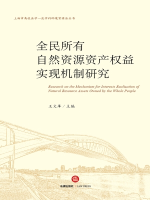 全民所有自然资源资产