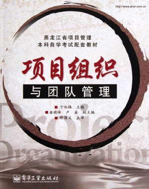 项目组织与团队管理