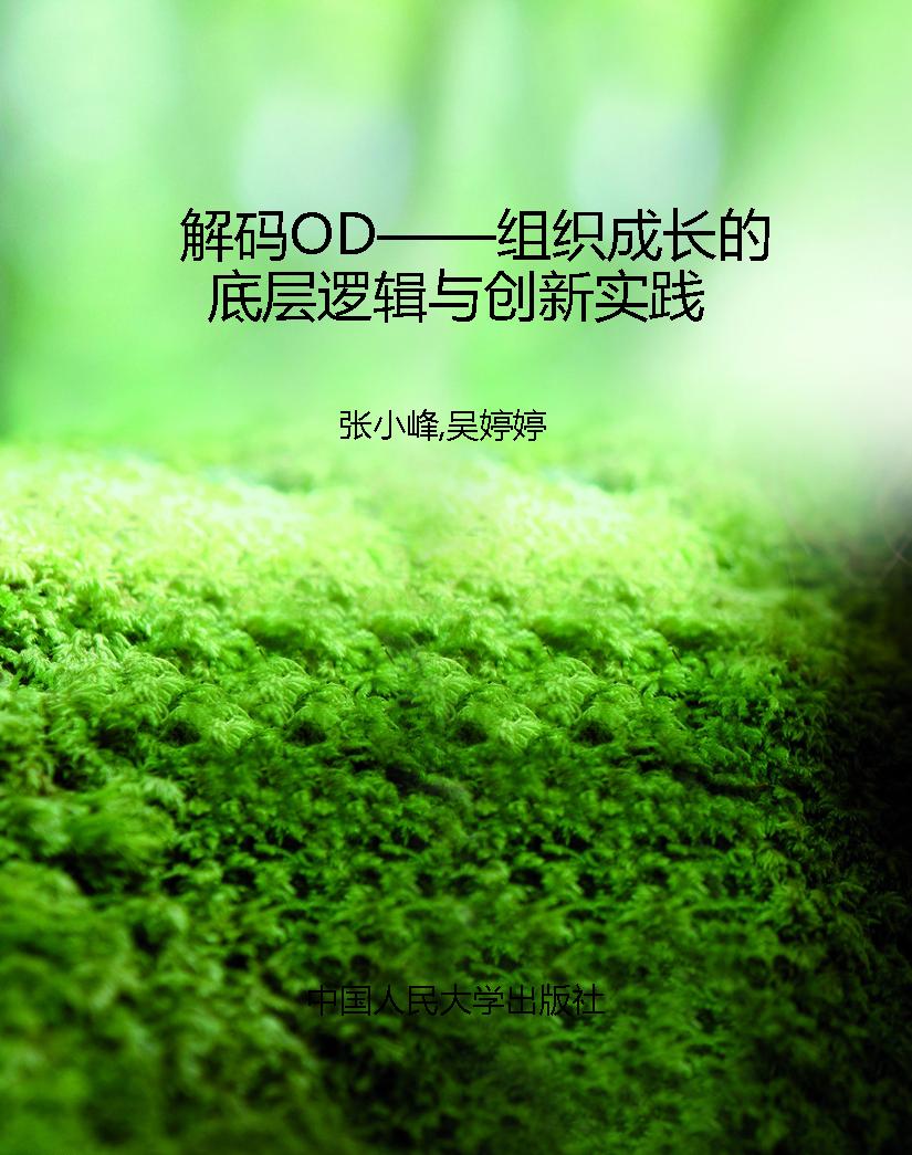解码OD——组织成长的