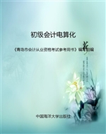 初级会计电算化
