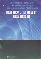 信息技术、组织设计和