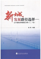 新城发展路径选择