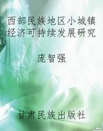 西部民族地区小城镇经