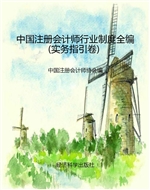 中国注册会计师行业制