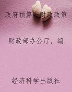 政府预算与财政政策