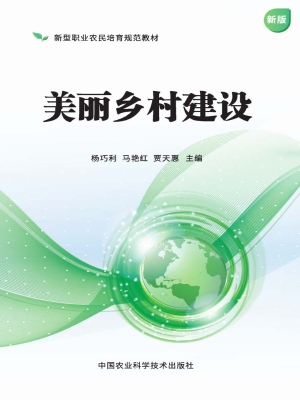 美丽乡村建设
