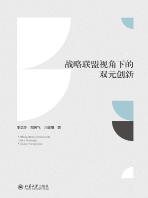 战略联盟视角下的双元
