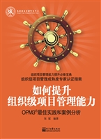 如何提升组织级项目管