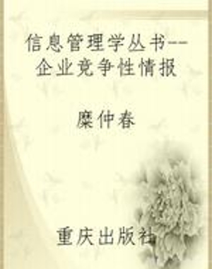 信息管理学丛书--企业
