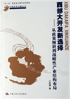 西部大开发新选择
