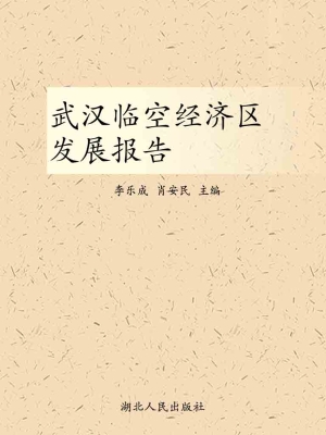 武汉临空经济区发展报