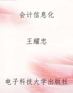会计信息化
