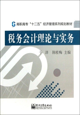税务会计理论与实务