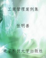 工商管理案例集