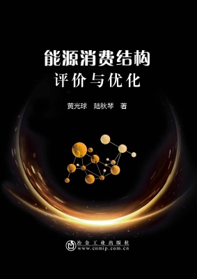 能源消费结构评价与优
