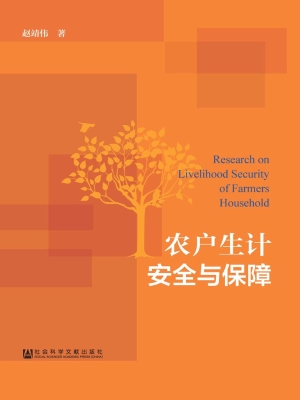 农户生计安全与保障