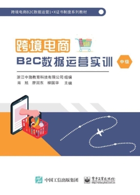 跨境电商B2C数据运营