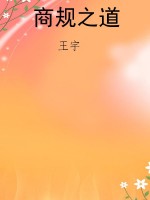 商规之道