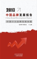 2013中国品牌发展报告
