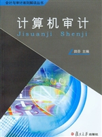 计算机审计