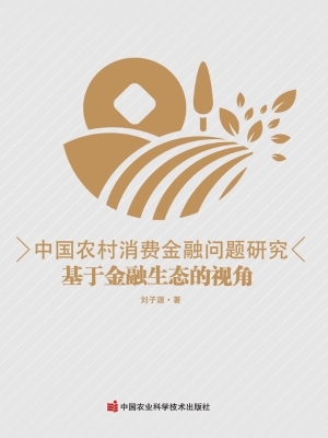 中国农村消费金融问题