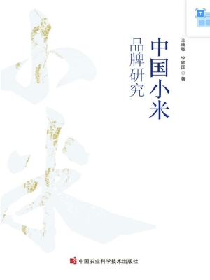 中国小米品牌研究