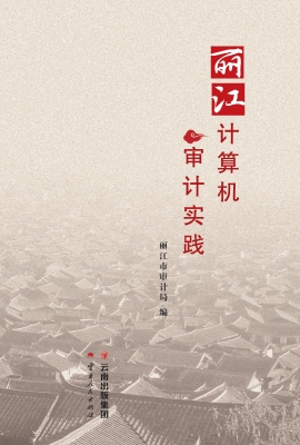 丽江计算机审计实践
