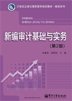 新编审计基础与实务