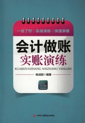 会计做账实账演练