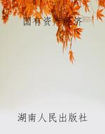 国有资产经济