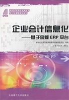 企业会计信息化:基于
