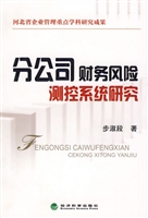 分公司财务风险测控系
