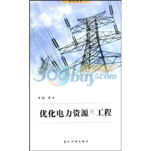 优化电力资源的工程（中