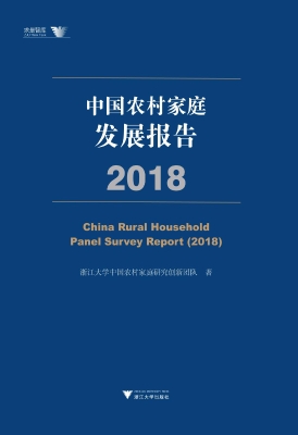 中国农村家庭发展报告