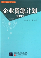 企业资源计划（ERP）