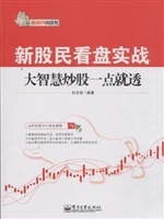新股民看盘实战
