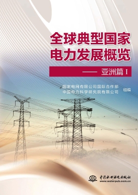 全球典型国家电力发展