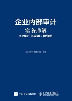企业内部审计实务详解